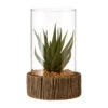 Premier® Olivia's Small Succulent With Natural Stone Base