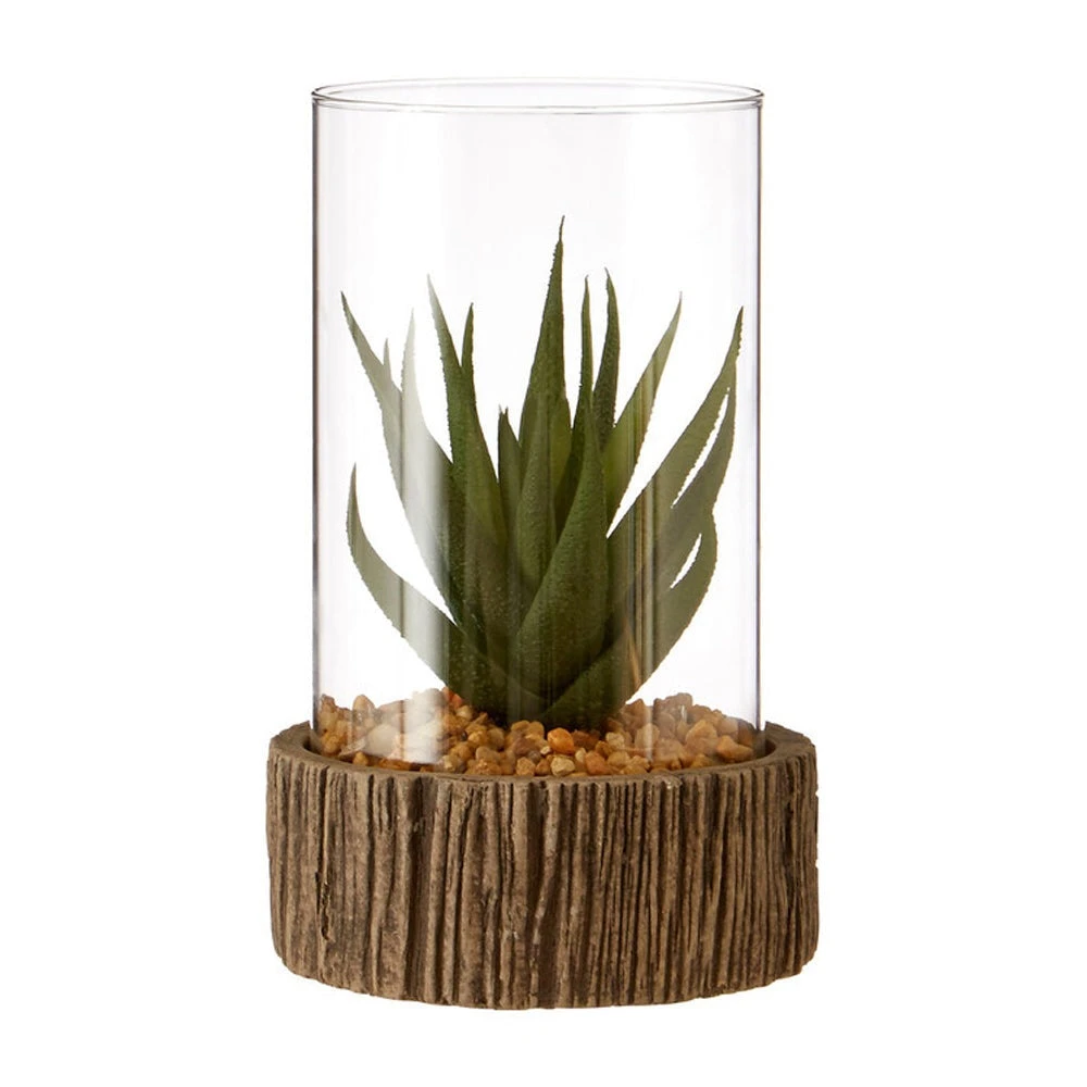 Premier® Olivia's Small Succulent With Natural Stone Base 1 Premier® Olivia's Small Succulent With Natural Stone Base