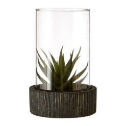 Premier® Olivia's Large Succulent With Black Stone Base
