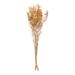Hill Dried Babys Breath Bunch In Orange -Best Home Decor Store 21698 b