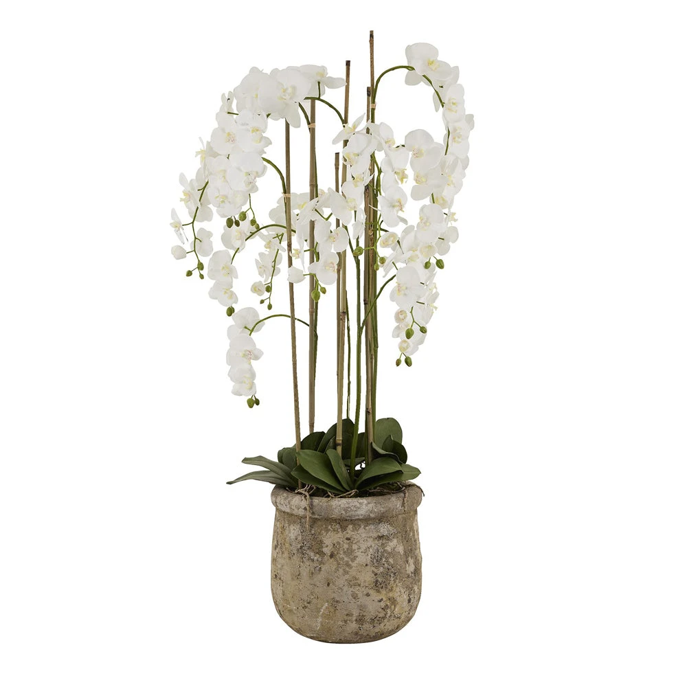 Hill Interiors Large White Orchid In Antique Stone Pot 1 Hill Interiors Large White Orchid In Antique Stone Pot