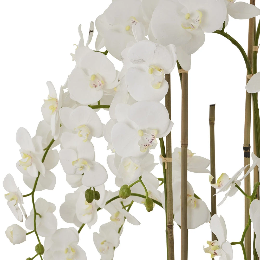 Hill Interiors Large White Orchid In Antique Stone Pot 3 Hill Interiors Large White Orchid In Antique Stone Pot - Image 3