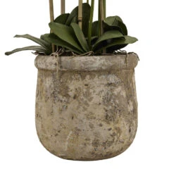 Hill Interiors Large White Orchid In Antique Stone Pot 7 Hill Interiors Large White Orchid In Antique Stone Pot -Best Home Decor Store 22641 02