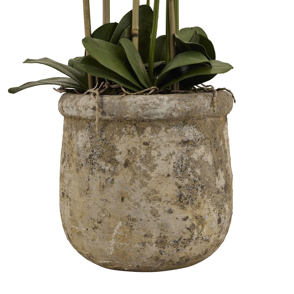 Hill Interiors Large White Orchid In Antique Stone Pot 4 Hill Interiors Large White Orchid In Antique Stone Pot - Image 4