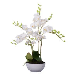 Premier® Olivia's Faux Orchid White