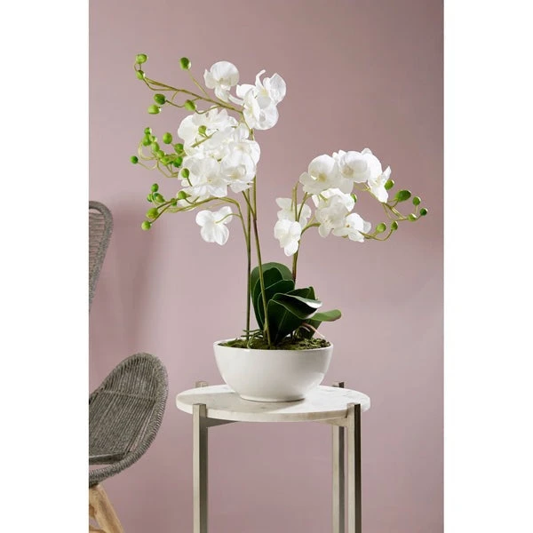 Premier® Olivia's Faux Orchid White 2 Premier® Olivia's Faux Orchid White - Image 2