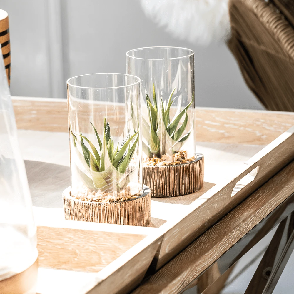 Premier® Olivia's Small Succulent With Natural Stone Base 2 Premier® Olivia's Small Succulent With Natural Stone Base - Image 2