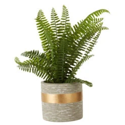 Premier® Olivia's Freda Planter Succulent Boston Fern -Best Home Decor Store 2907056 2907056