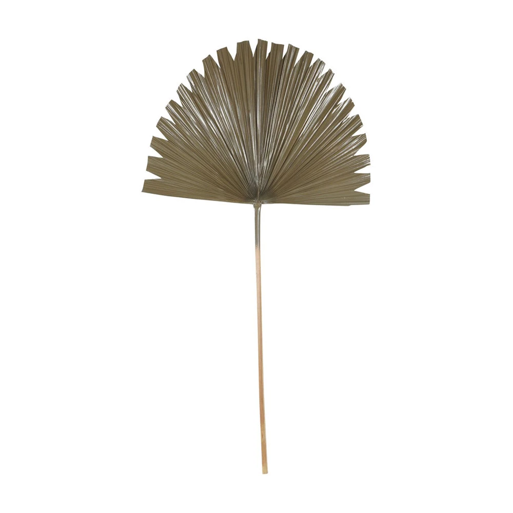 Libra Interiors Wide Fan Palm Leaf Brown 1 Libra Interiors Wide Fan Palm Leaf Brown