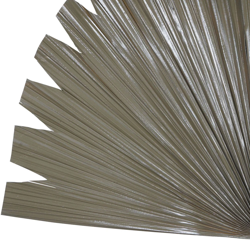 Libra Interiors Wide Fan Palm Leaf Brown 2 Libra Interiors Wide Fan Palm Leaf Brown - Image 2