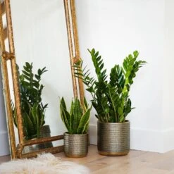 Ivyline Solis Embossed Planter In Gold 6 Ivyline Solis Embossed Planter In Gold -Best Home Decor Store SEPG25 11