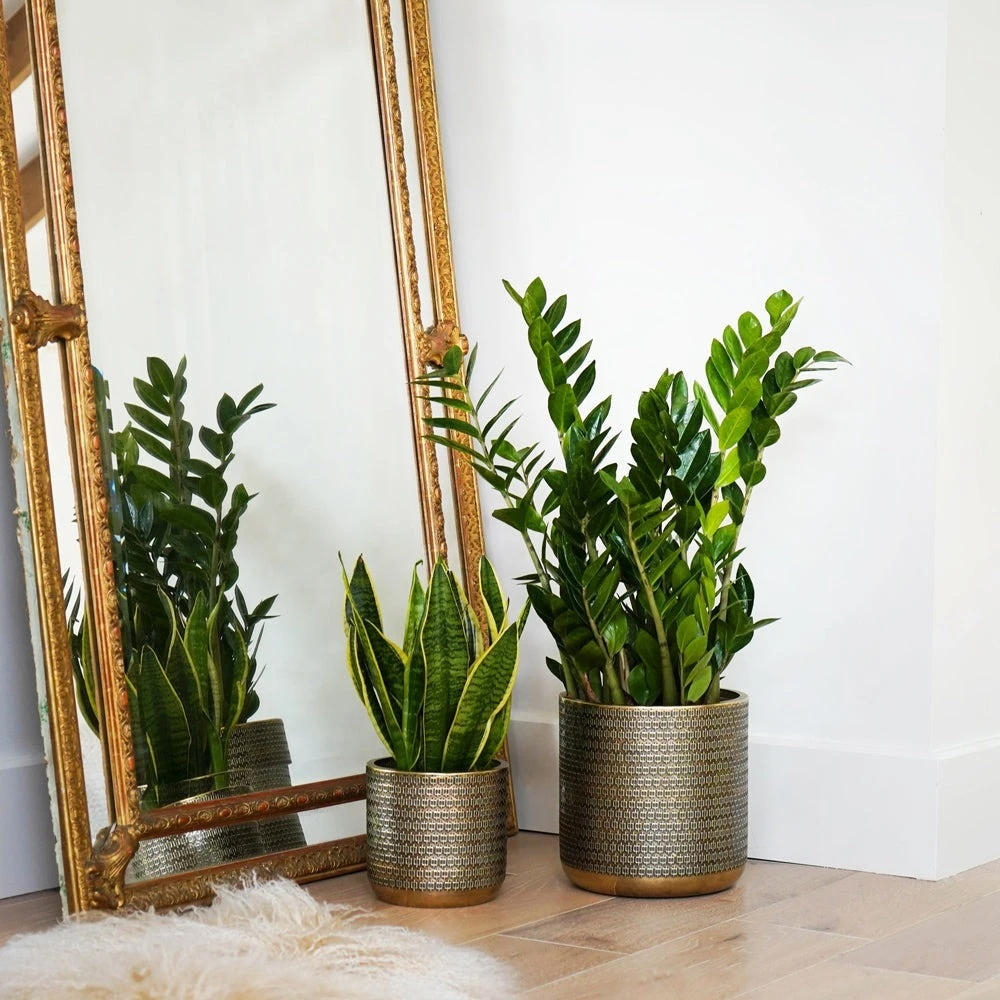 Ivyline Solis Embossed Planter In Gold 3 Ivyline Solis Embossed Planter In Gold - Image 3