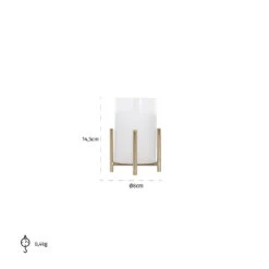 Best Home Decor Store -Best Home Decor Store WL 0118 06